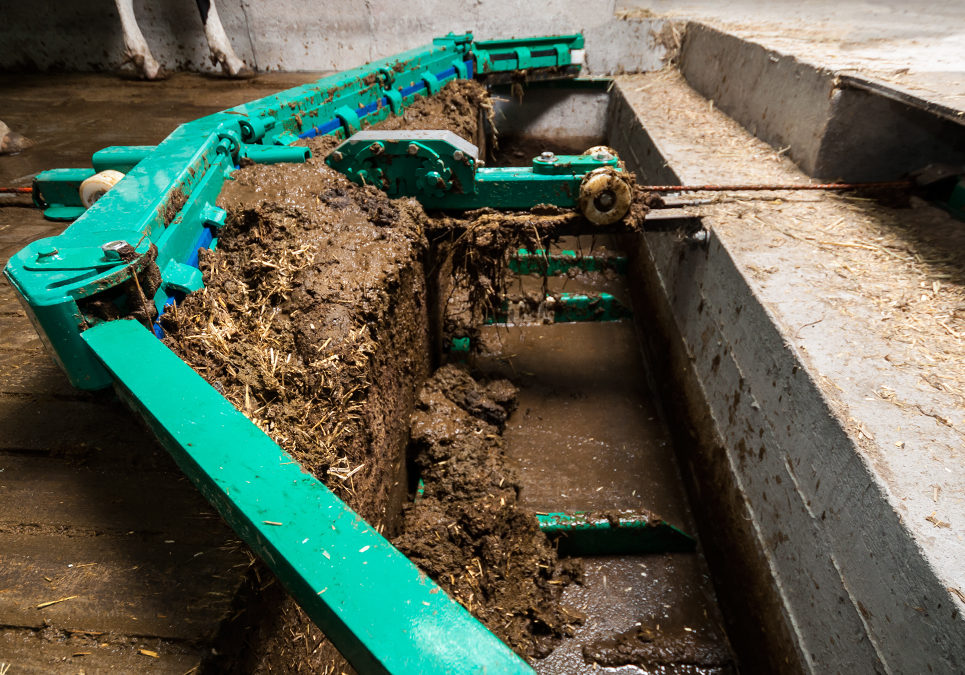 DairyFarming_Cable Scraper 2_tcm11-14319